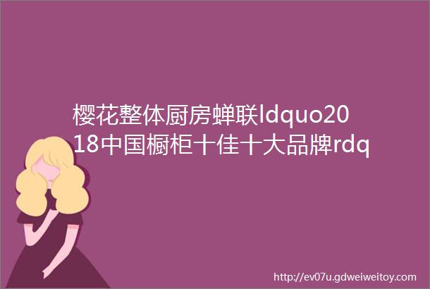 樱花整体厨房蝉联ldquo2018中国橱柜十佳十大品牌rdquo