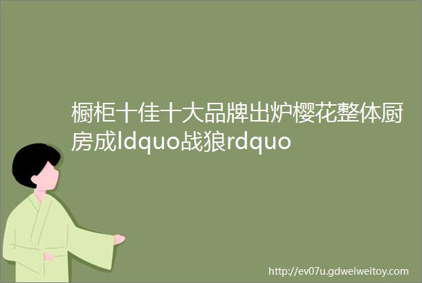 橱柜十佳十大品牌出炉樱花整体厨房成ldquo战狼rdquo